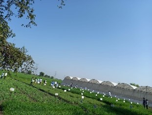 Agriculture School Image